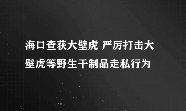 海口查获大壁虎 严厉打击大壁虎等野生干制品走私行为