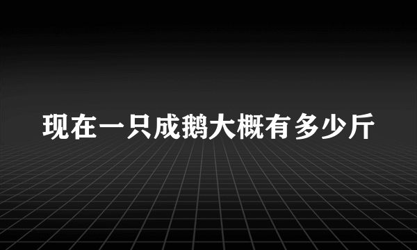 现在一只成鹅大概有多少斤