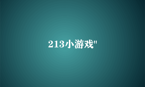 213小游戏