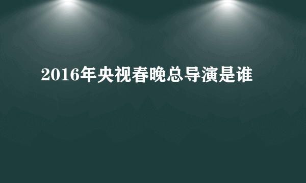 2016年央视春晚总导演是谁