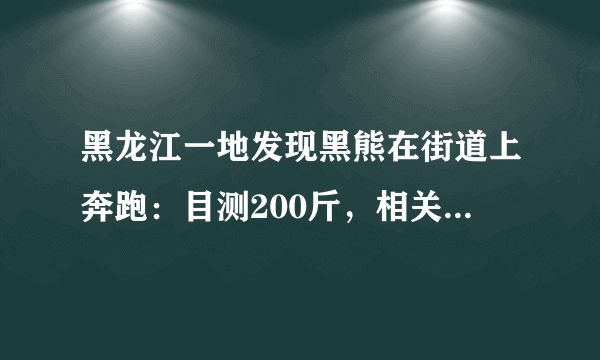 黑龙江一地发现黑熊在街道上奔跑：目测200斤，相关部门会采取什么措施？