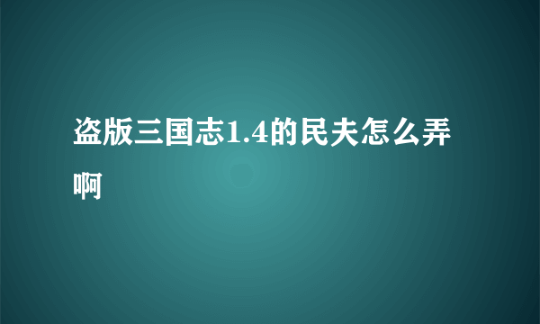 盗版三国志1.4的民夫怎么弄啊