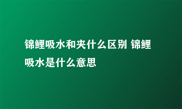 锦鲤吸水和夹什么区别 锦鲤吸水是什么意思