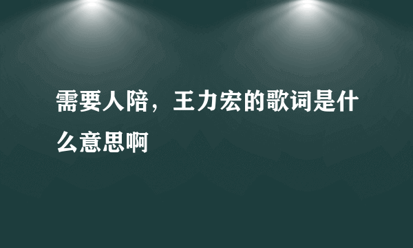 需要人陪，王力宏的歌词是什么意思啊