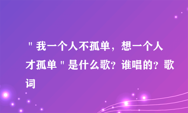 ＂我一个人不孤单，想一个人才孤单＂是什么歌？谁唱的？歌词