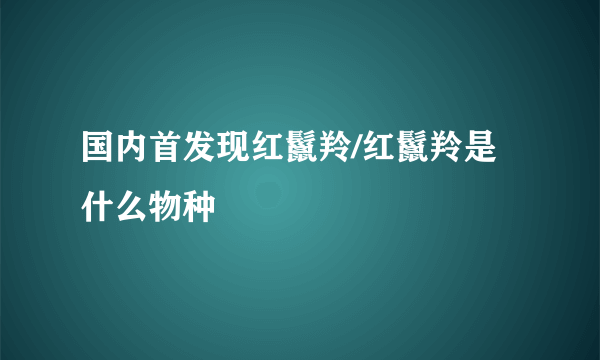 国内首发现红鬣羚/红鬣羚是什么物种