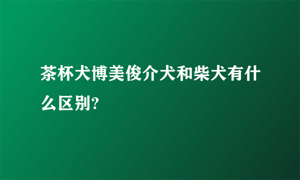 茶杯犬博美俊介犬和柴犬有什么区别?