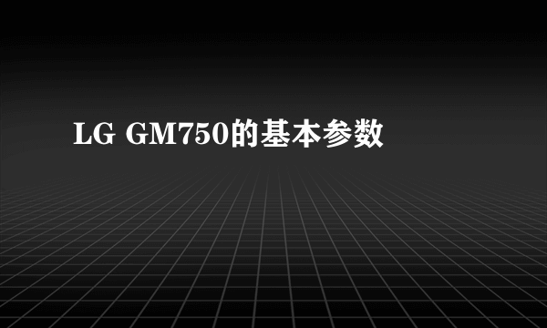 LG GM750的基本参数