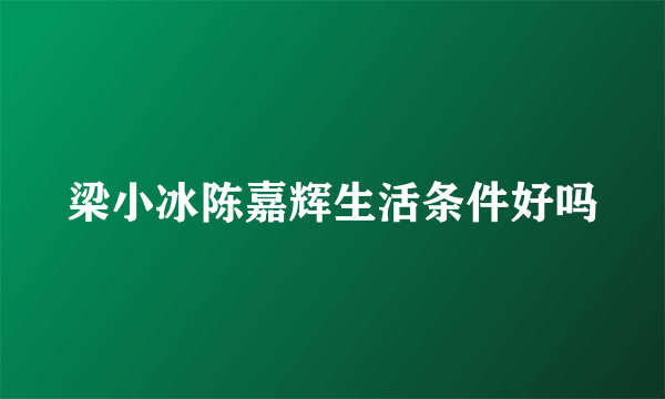 梁小冰陈嘉辉生活条件好吗