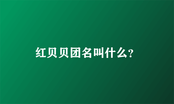 红贝贝团名叫什么？