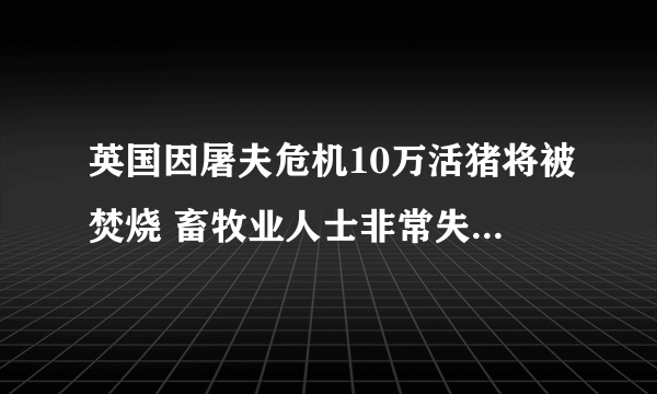 英国因屠夫危机10万活猪将被焚烧 畜牧业人士非常失望-飞外网