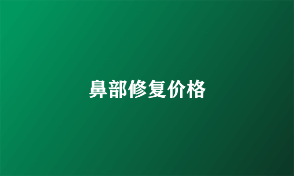 鼻部修复价格