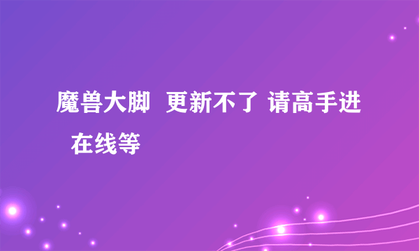 魔兽大脚  更新不了 请高手进   在线等