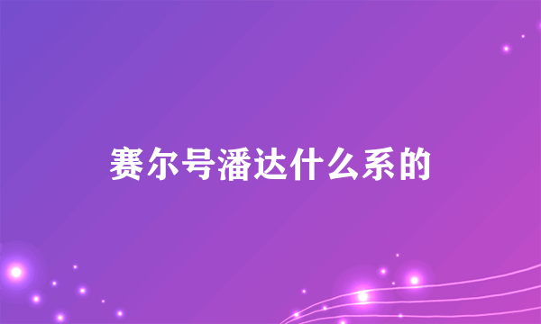 赛尔号潘达什么系的