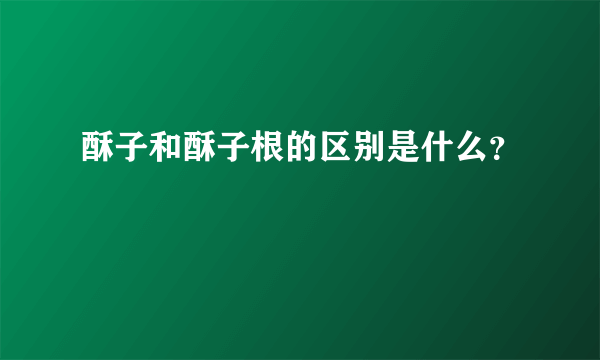 酥子和酥子根的区别是什么？