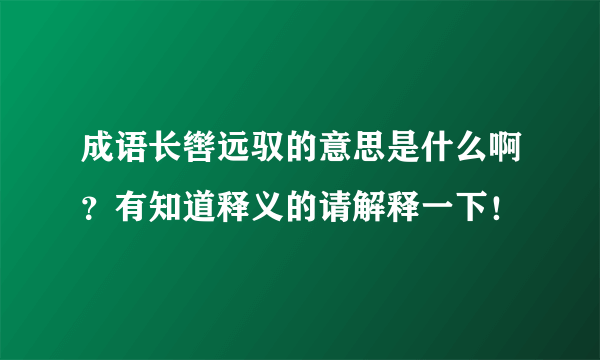 成语长辔远驭的意思是什么啊？有知道释义的请解释一下！