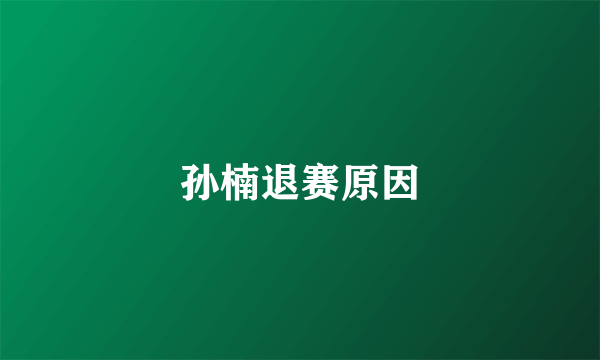 孙楠退赛原因