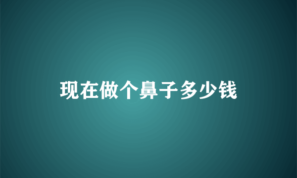 现在做个鼻子多少钱