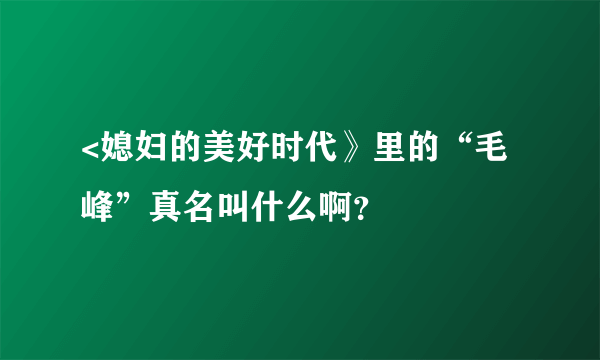 <媳妇的美好时代》里的“毛峰”真名叫什么啊？