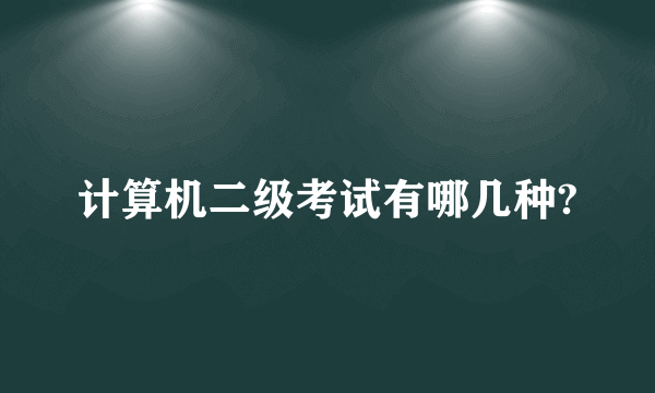 计算机二级考试有哪几种?