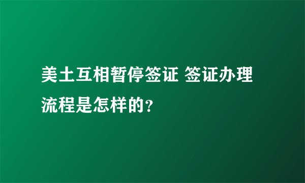 美土互相暂停签证 签证办理流程是怎样的？