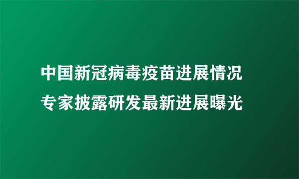 中国新冠病毒疫苗进展情况 专家披露研发最新进展曝光