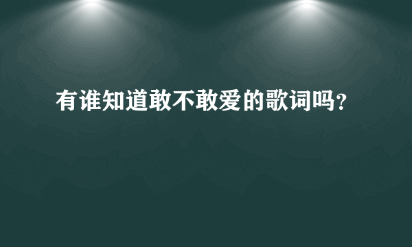 有谁知道敢不敢爱的歌词吗？