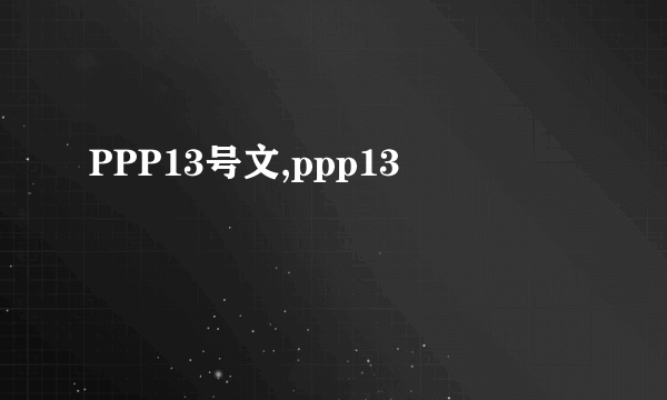 PPP13号文,ppp13