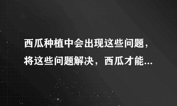 西瓜种植中会出现这些问题，将这些问题解决，西瓜才能有好收获