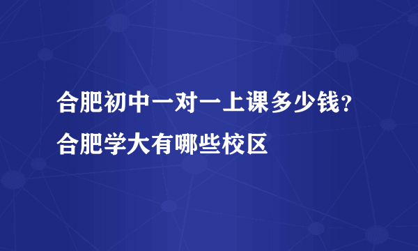 合肥初中一对一上课多少钱？合肥学大有哪些校区