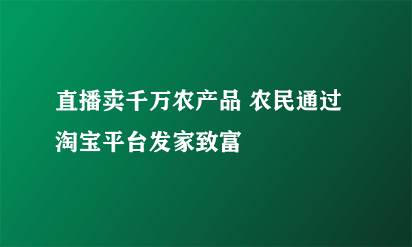 直播卖千万农产品 农民通过淘宝平台发家致富