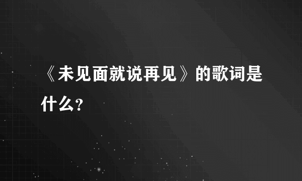 《未见面就说再见》的歌词是什么？