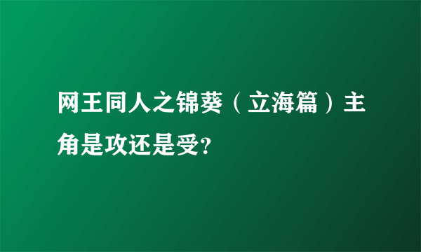 网王同人之锦葵（立海篇）主角是攻还是受？