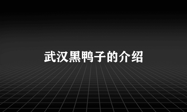 武汉黑鸭子的介绍