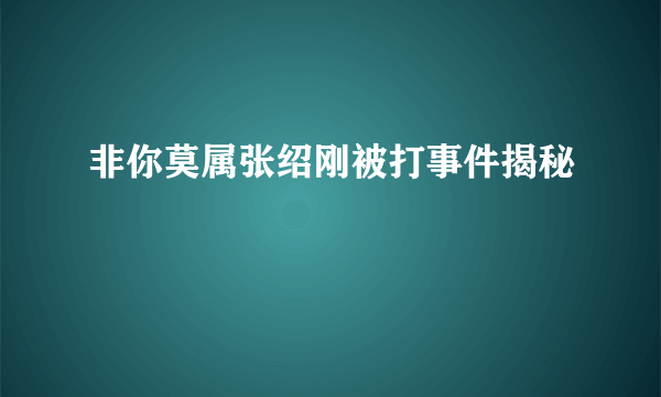 非你莫属张绍刚被打事件揭秘