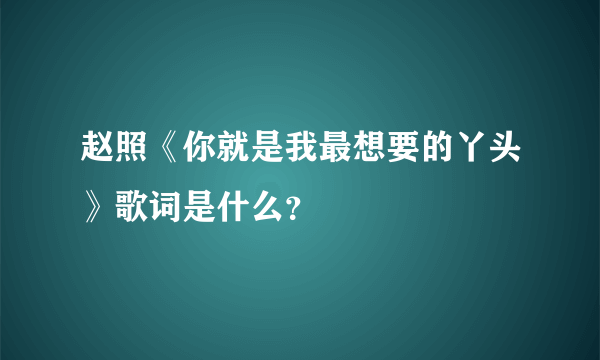 赵照《你就是我最想要的丫头》歌词是什么？