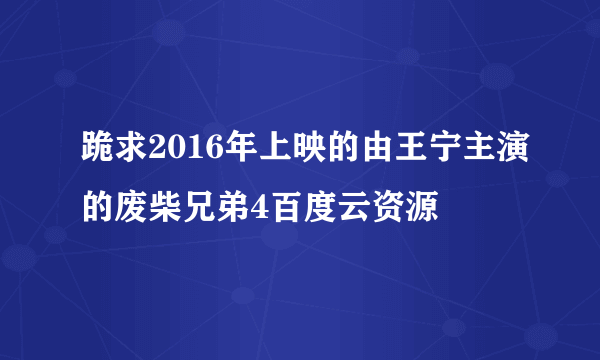 跪求2016年上映的由王宁主演的废柴兄弟4百度云资源