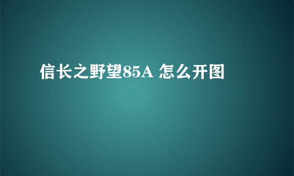 信长之野望85A 怎么开图