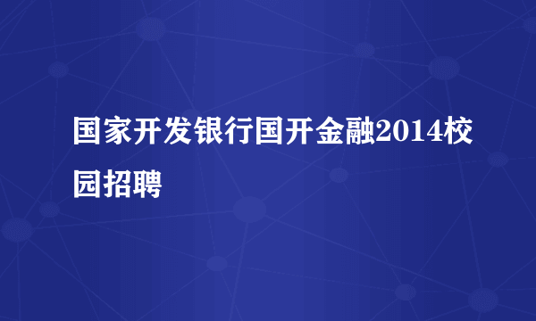 国家开发银行国开金融2014校园招聘