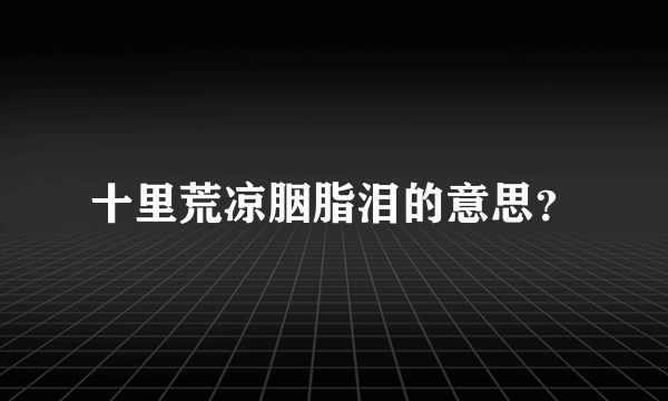 十里荒凉胭脂泪的意思？