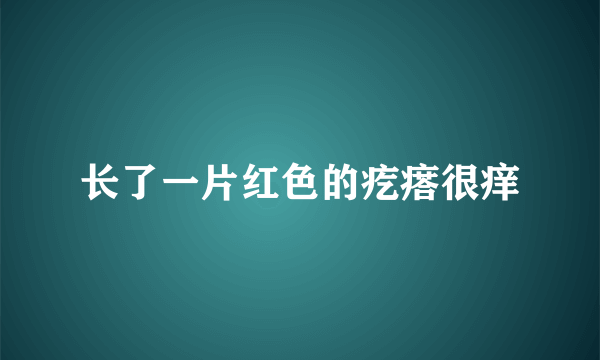 长了一片红色的疙瘩很痒