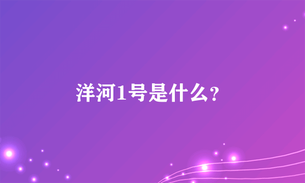 洋河1号是什么？