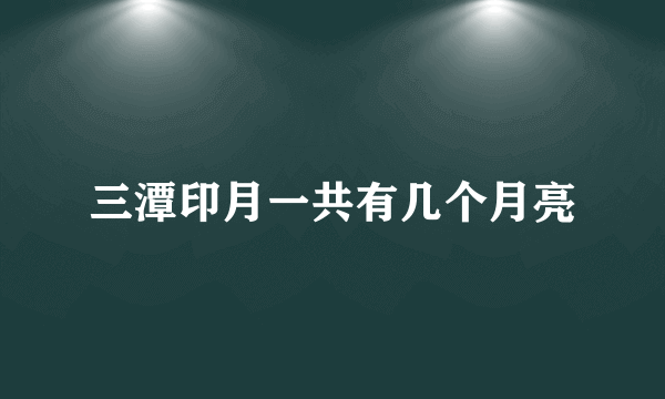 三潭印月一共有几个月亮