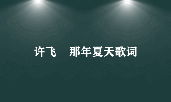 许飞    那年夏天歌词