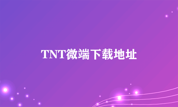 TNT微端下载地址