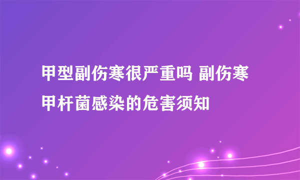 甲型副伤寒很严重吗 副伤寒甲杆菌感染的危害须知