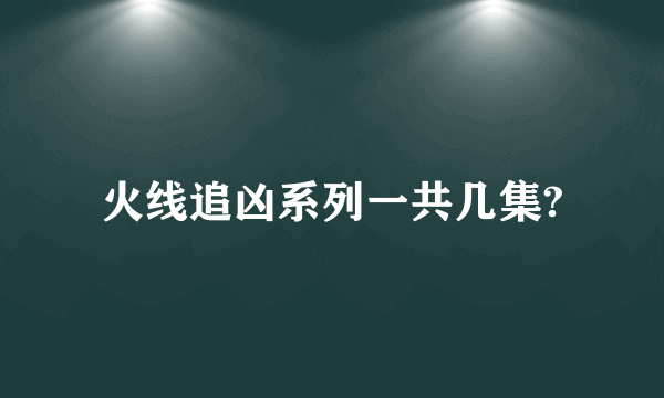 火线追凶系列一共几集?