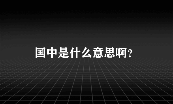 国中是什么意思啊？