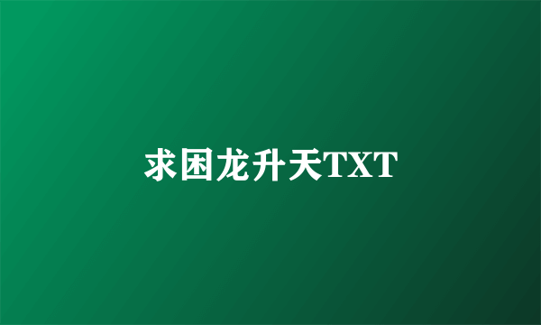 求困龙升天TXT