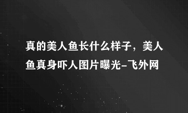 真的美人鱼长什么样子，美人鱼真身吓人图片曝光-飞外网